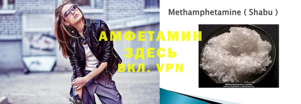 гидра Алексин