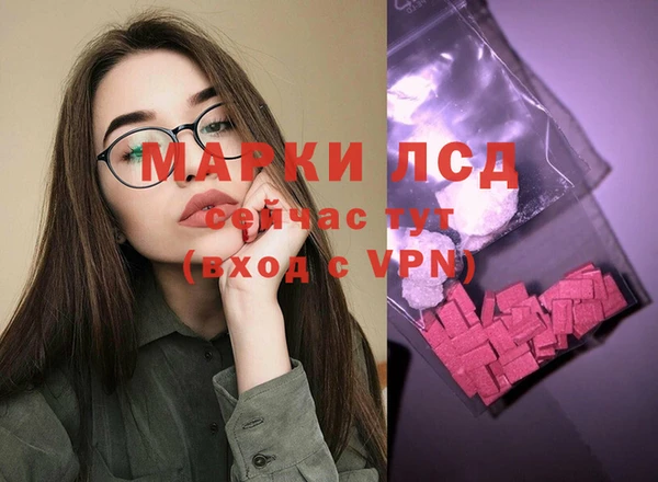 тгк Алзамай