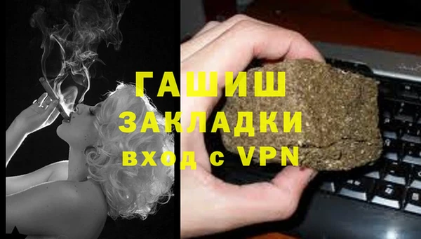 гидра Алексин