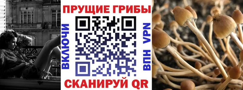 Галлюциногенные грибы MAGIC MUSHROOMS Новосиль